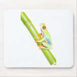 red eyed tree frog mouse mat