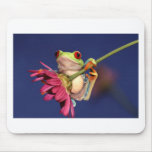 red eyed tree frog mouse mats