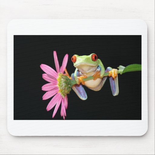 red eyed tree frog mousemat