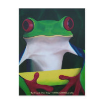 Red Eyed Tree Frog Postcard