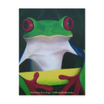 Red Eyed Tree Frog Postcard
