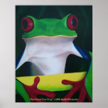 Red Eyed Tree Frog Poster posters