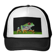red eyed tree frog trucker hat