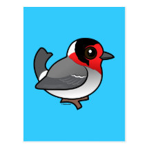 Red-faced Warbler Post Card