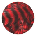 Red Feathers