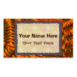 Red Fern business card template