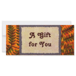 Red Fern Gift Certificate template rack cards
