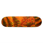 Red Fern skateboard