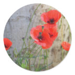 Red Field Corn Poppies Sticker