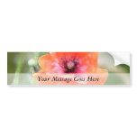 Red Flanders Poppy bumper stickers