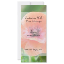 Red Flanders Poppy Custom Rack Cards
