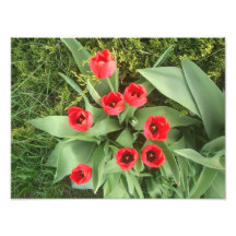 Red Floral Art Photo