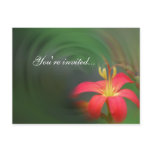 Red Floral Mirage Invitation Postcards