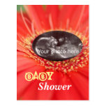 Red "Flower Child" Ultrasound Baby Shower Postcard