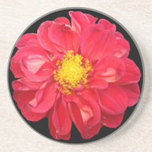 Red Flower Coaster