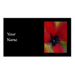 Red Flower, Poppy. Business Card Templates