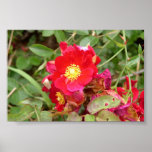 red flower print