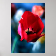 Red Flower Poster