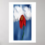 Red Flower posters