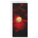 Red Flower rack cards