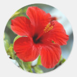 Red Flower Sticker