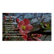 Red Flowering Quince flowers Business Cards