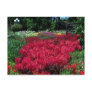 Red Flowers in English Garden Postcard