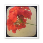 Red Flowers Fridge Magnets