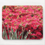 red flowers mousepad