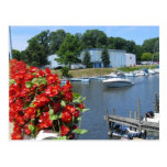 Red Flowers Over the Black River Postcard