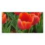 Red Flowers Photo Card