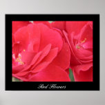 Red Flowers Posters