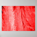 Red Fluff Print