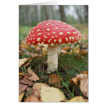Red Fly Agaric Card