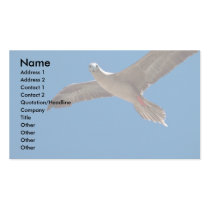 Red-Footed Booby In Flight Business Card Templates