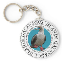 Red Footed Booby Key Chain