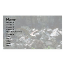 Red-Footed Booby Landing In Rookery Business Card Template