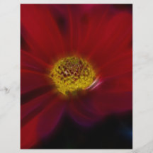Red For Beauty Full Color Flyer