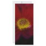 Red For Beauty Personalised Rack Card