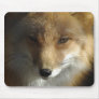 Red Fox Face Mousepad