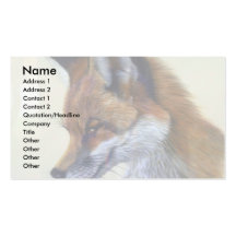Red Fox (head study) Business Card