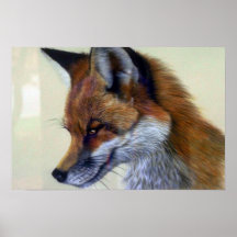 Red Fox (head study) Print