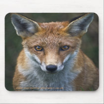 Red Fox Portrait Mousemat mousepads