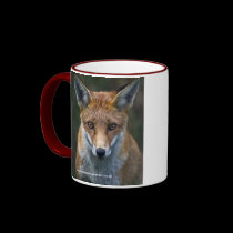 Red Fox Portrait Mug