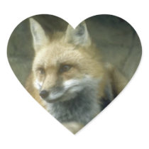 Red Fox Heart Stickers