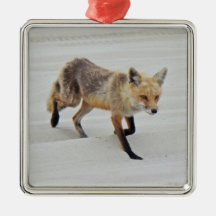 Red Fox Vixen - Island Beach State Park - NJ Christmas Tree Ornaments
