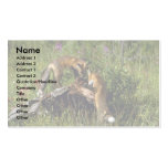 Red Foxes-kits playing Business Card Template