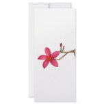 Red Frangipani flower rack cards