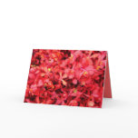Red Frenzy cards