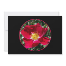 Red / Fuchsia rose Invites